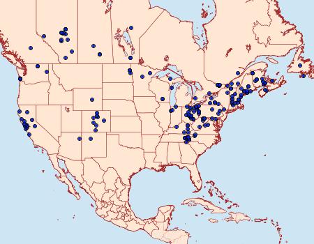 Distribution Data for Amphipoea americana