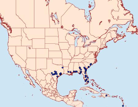 Distribution Data for Elaphria fuscimacula