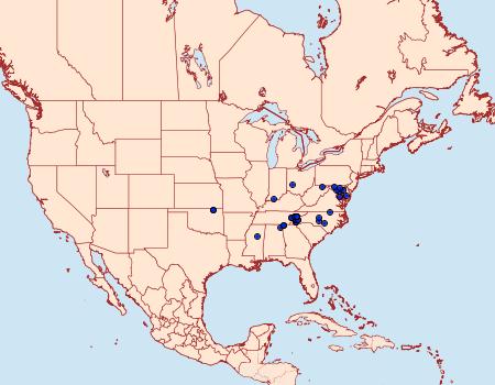 Distribution Data for Elaphria cornutinis