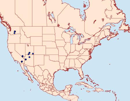 Distribution Data for Plagiomimicus yakama