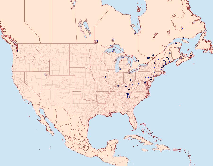 Distribution Data for Epimartyria auricrinella