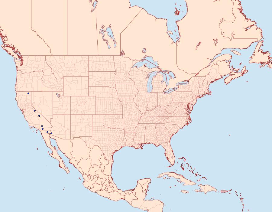 Distribution Data for Pseudethmia protuberans