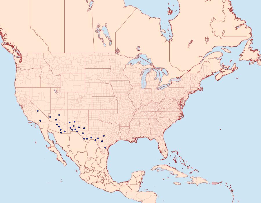 Distribution Data for Copanarta aurea
