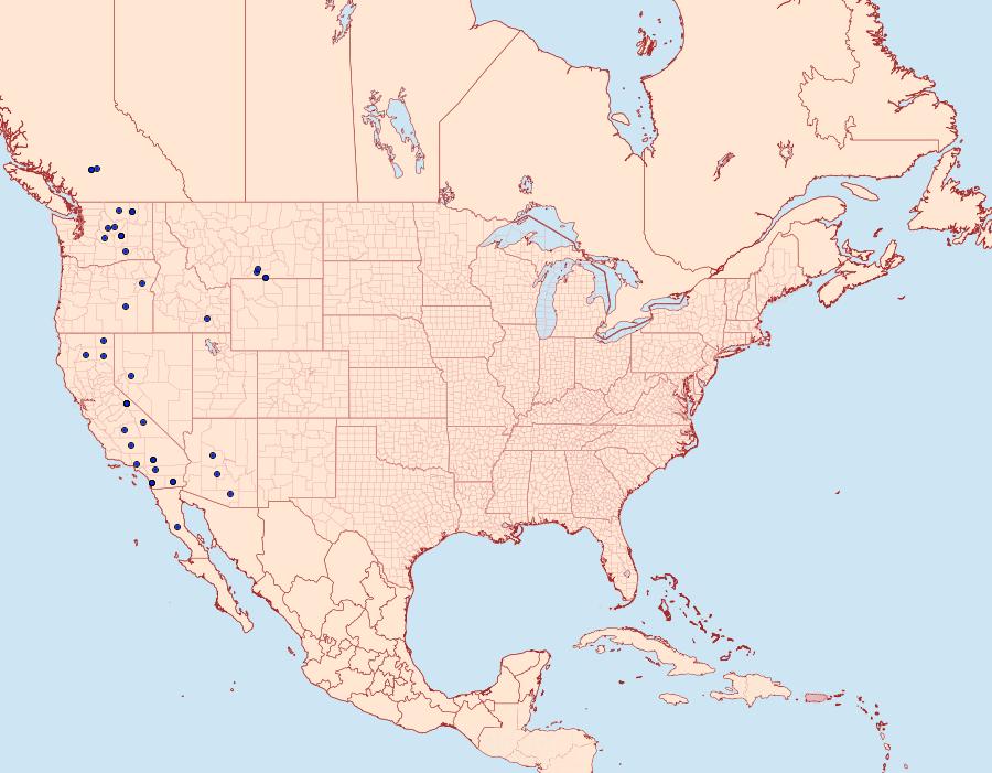 Distribution Data for Cucullia mcdunnoughi
