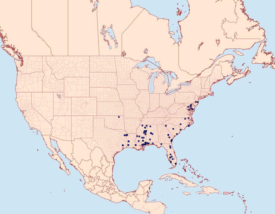 Distribution Data for Antaeotricha albulella