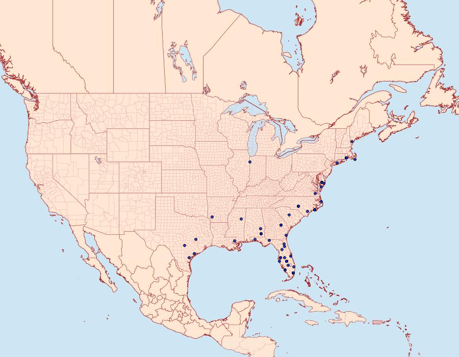 Distribution Data for Leucania extincta