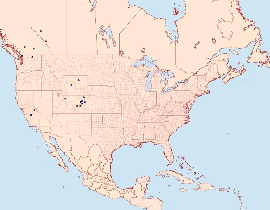 Distribution Data for Euxoa vallus