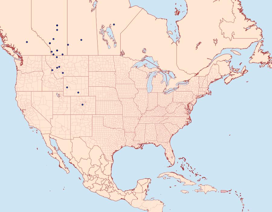 Distribution Data for Euxoa pestula