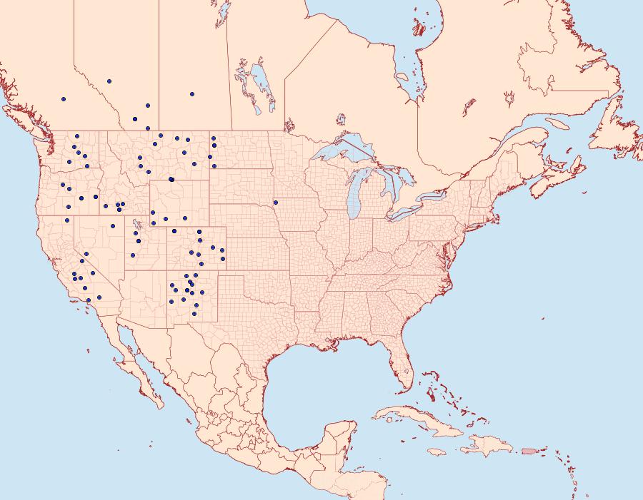 Distribution Data for Euxoa pallipennis