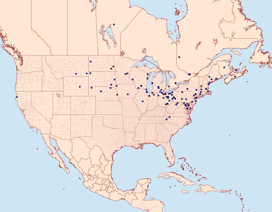 Distribution Data for Euxoa velleripennis
