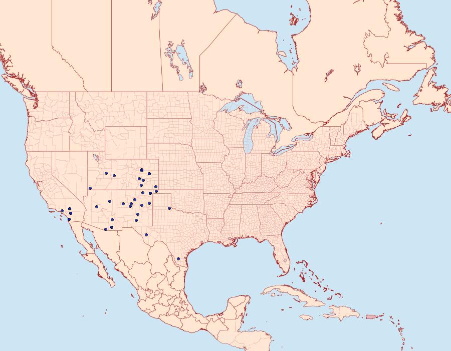 Distribution Data for Schinia ciliata