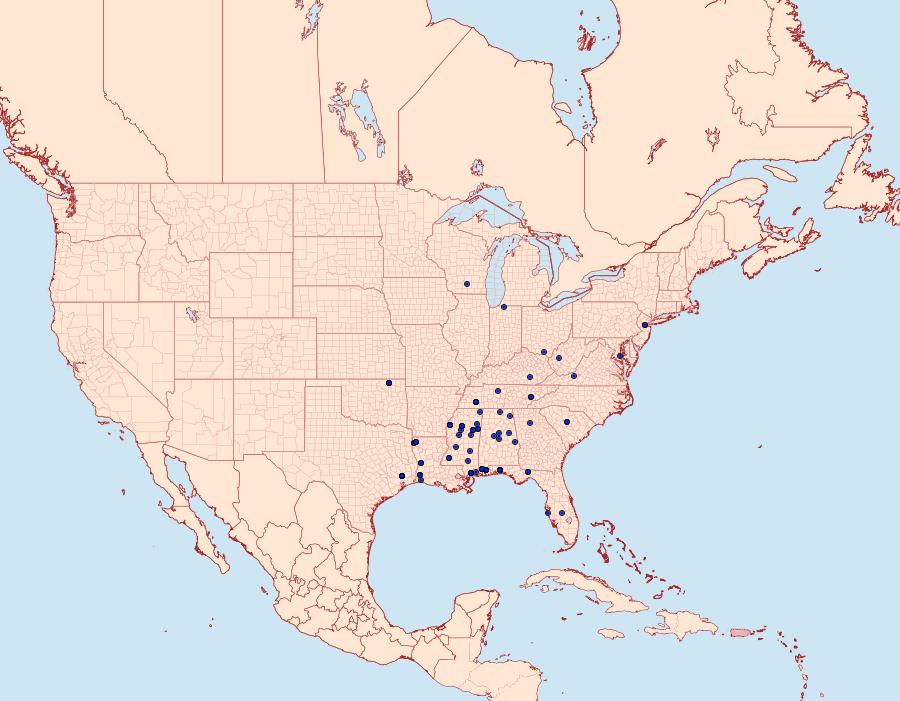 Distribution Data for Glyphidocera juniperella