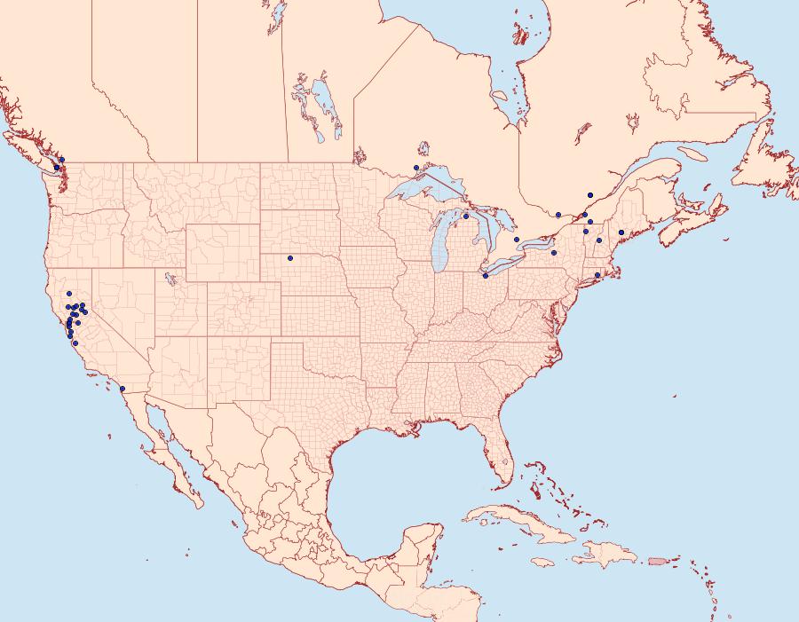 Distribution Data for Coleophora sacramenta