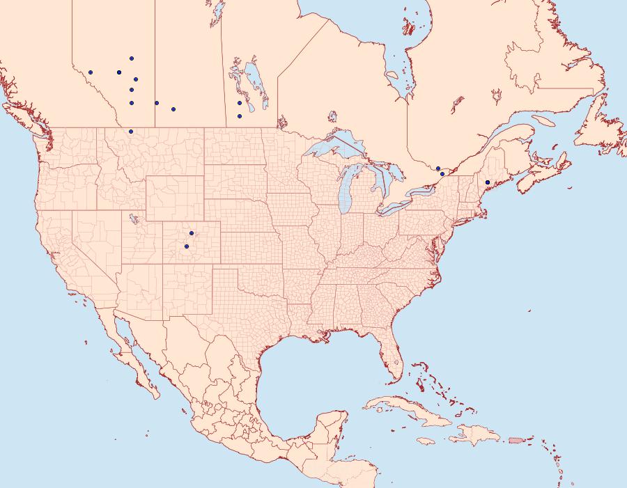 Distribution Data for Coleophora rosaefoliella