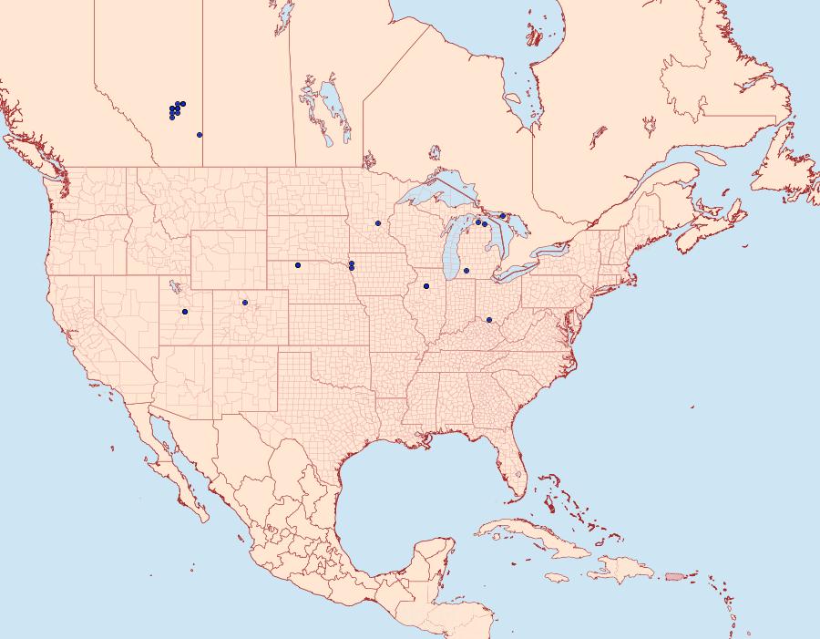 Distribution Data for Coleophora sparsipuncta