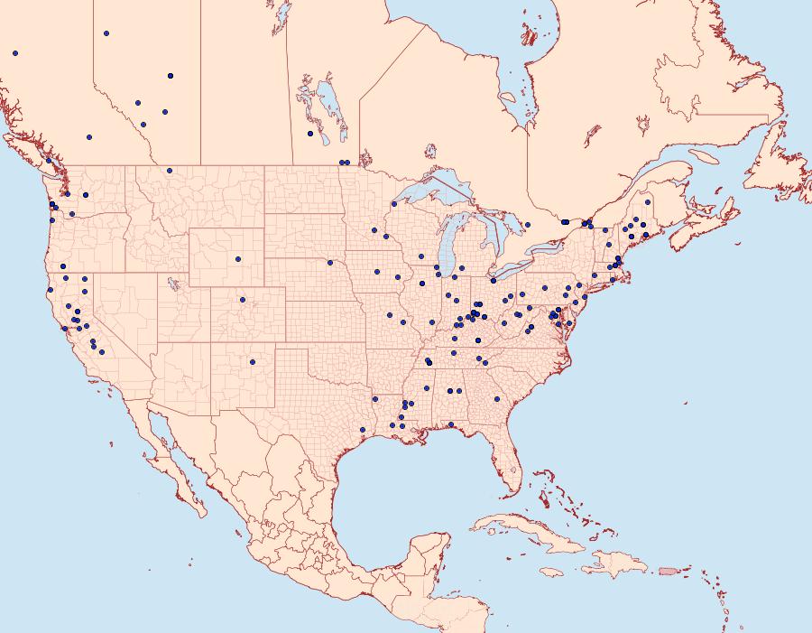 Distribution Data for Coleophora mayrella