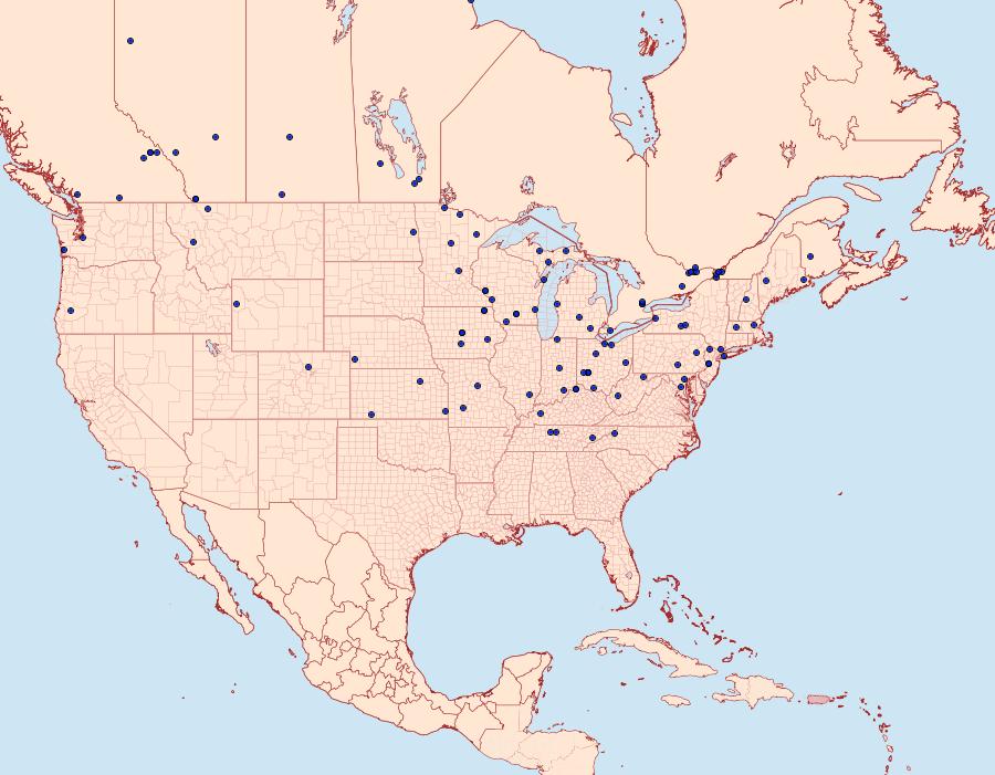 Distribution Data for Coleophora trifolii
