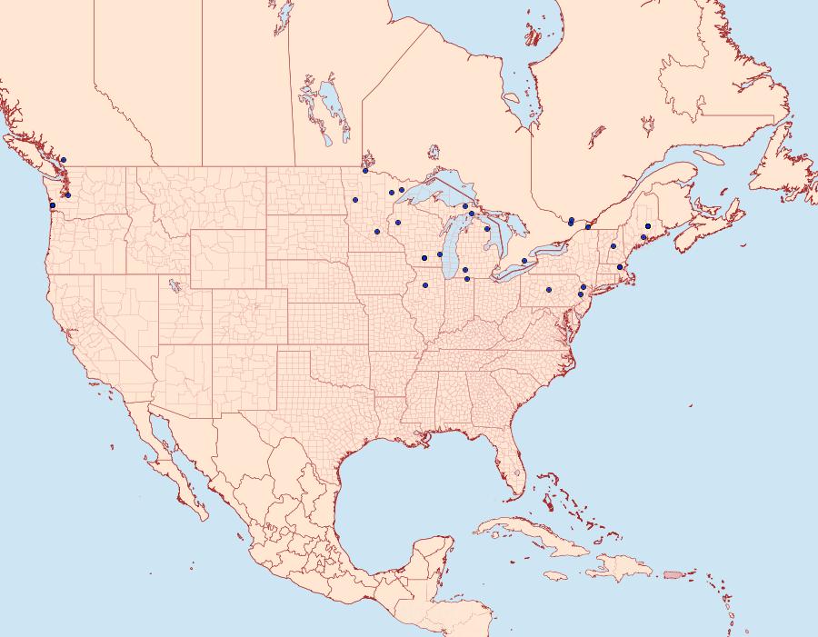 Distribution Data for Cosmopterix fernaldella
