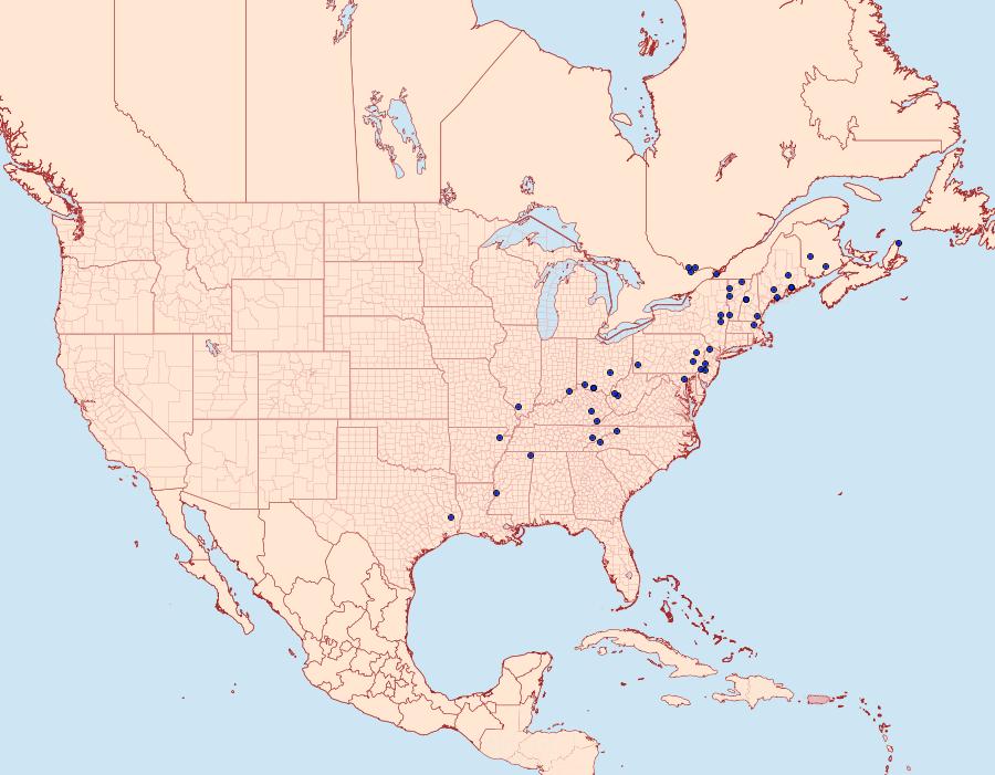 Distribution Data for Paraclemensia acerifoliella
