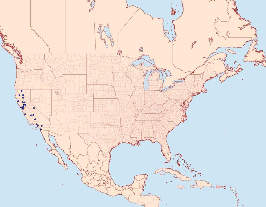 Distribution Data for Leucogoniella californica