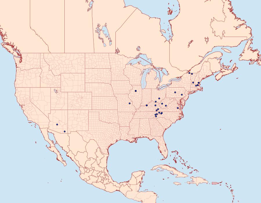Distribution Data for Pseudochelaria pennsylvanica