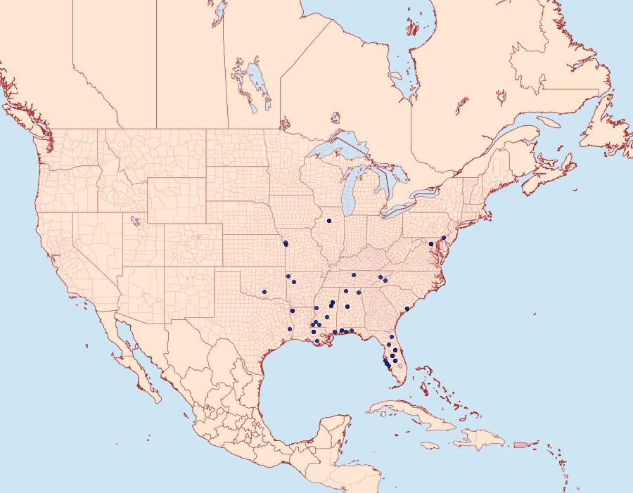 Distribution Data for Chionodes cacula