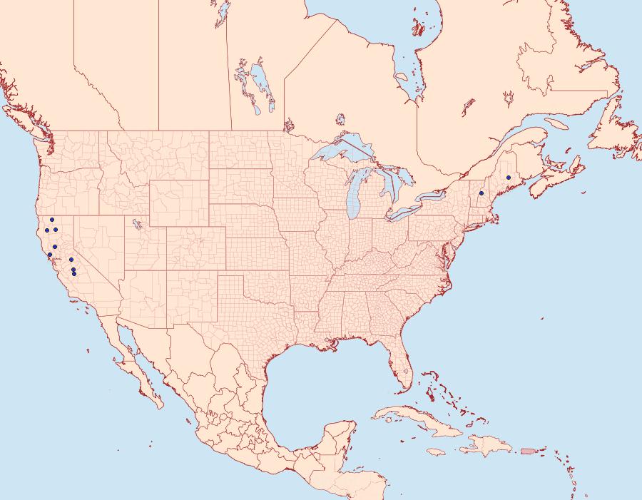 Distribution Data for Glyphipterix californiae