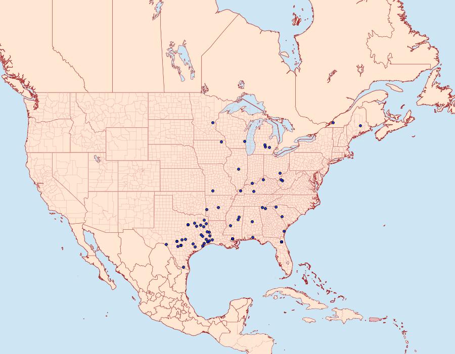 Distribution Data for Synanthedon decipiens