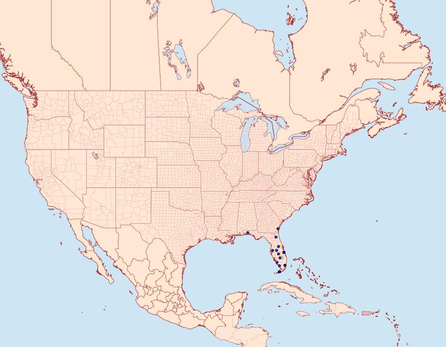 Distribution Data for Carmenta texana