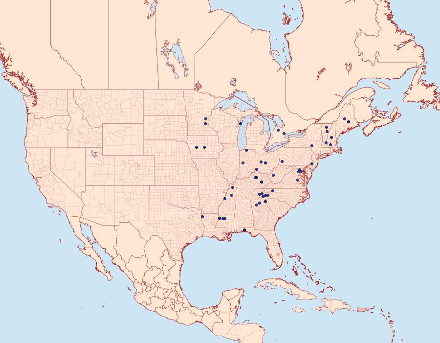 Distribution Data for Alcathoe caudata