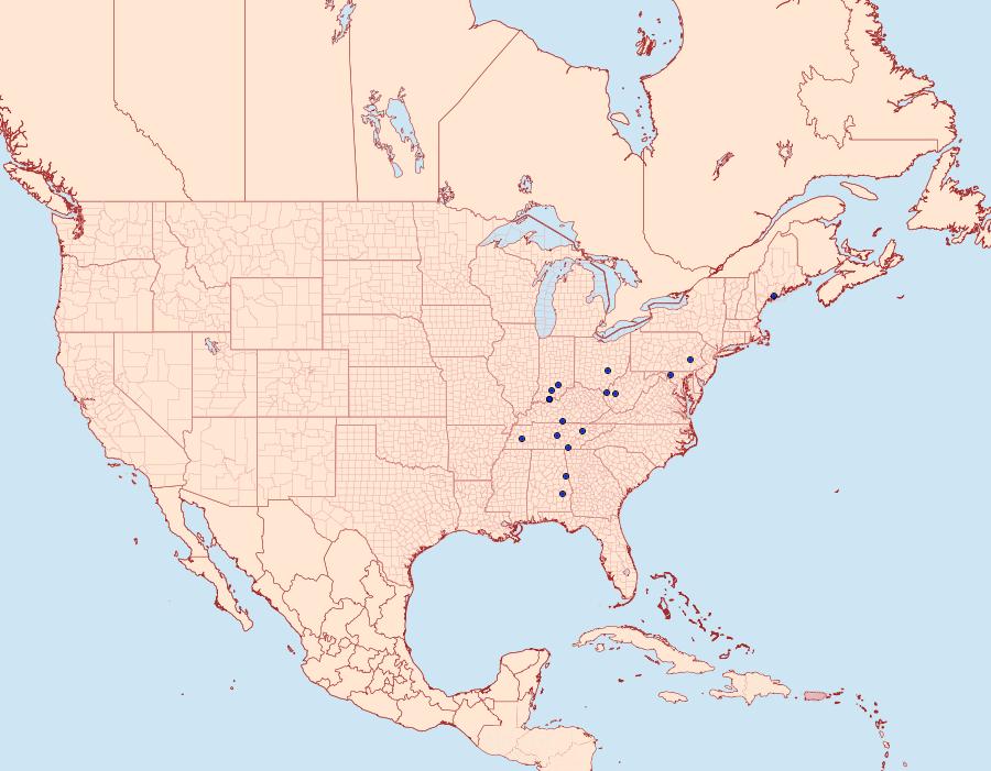 Distribution Data for Scardia amurensis