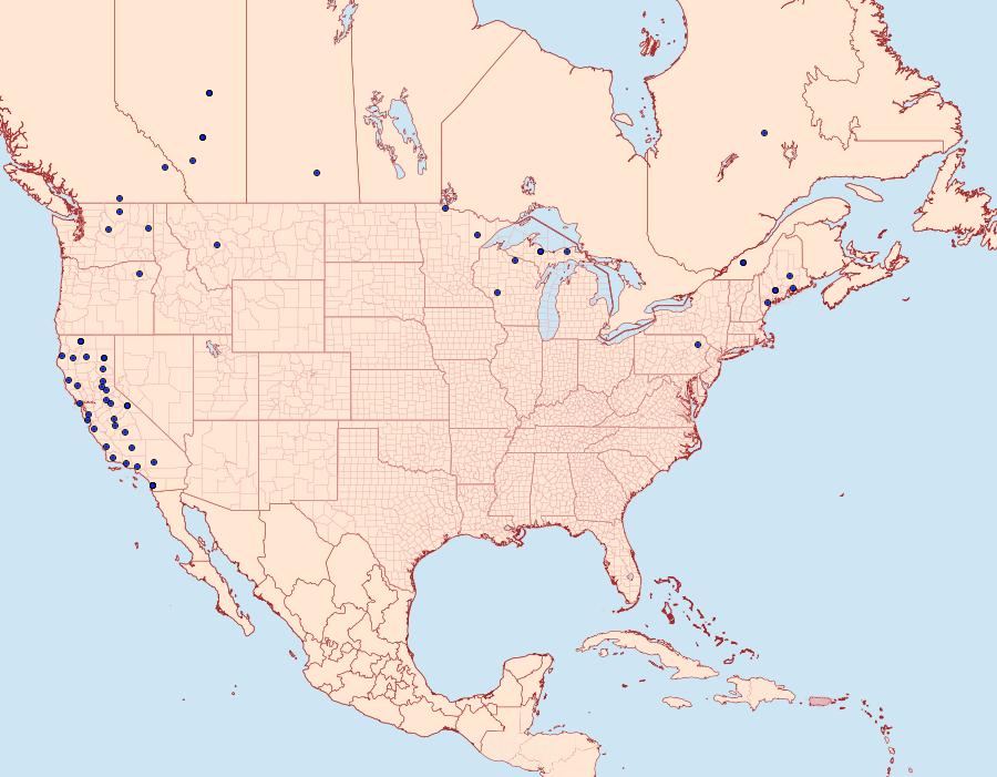 Distribution Data for Ancylis mediofasciana