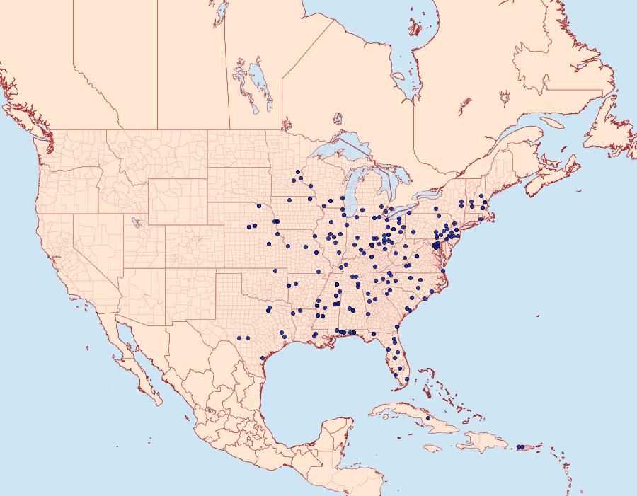 Distribution Data for Acrolophus arcanella