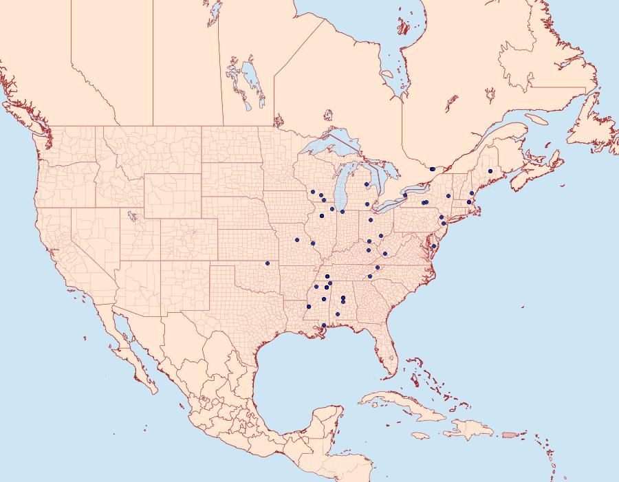 Distribution Data for Acleris ptychogrammos