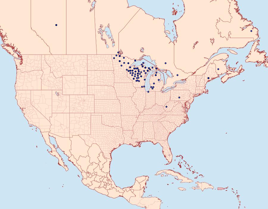 Distribution Data for Acleris oxycoccana