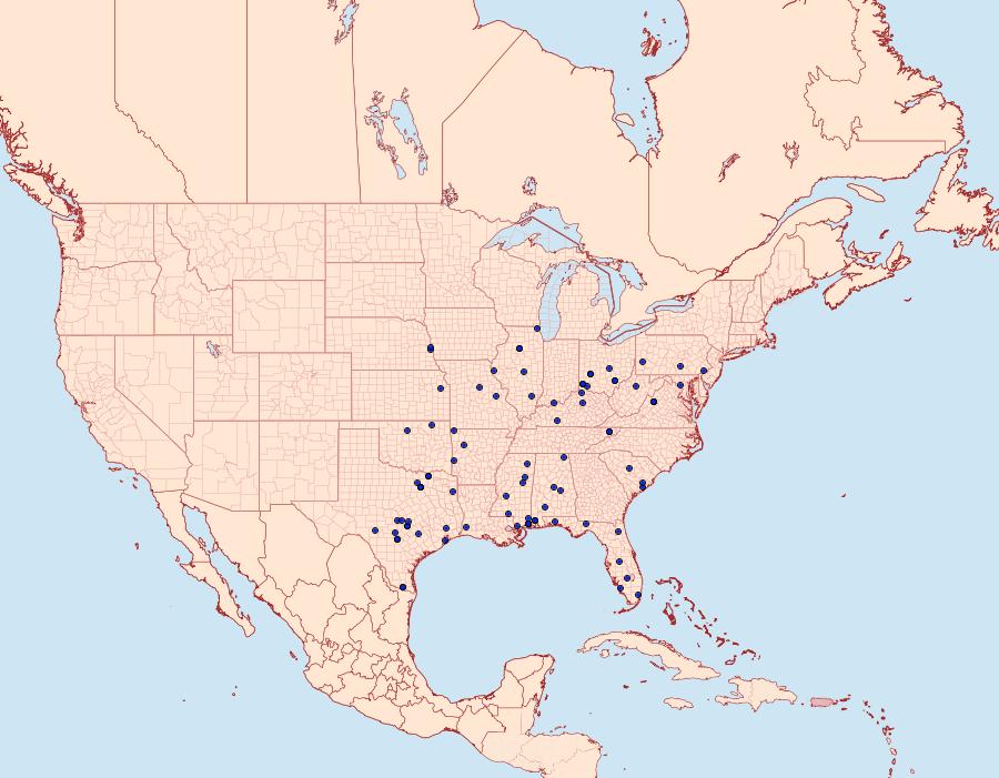 Distribution Data for Acrolophus mortipennella