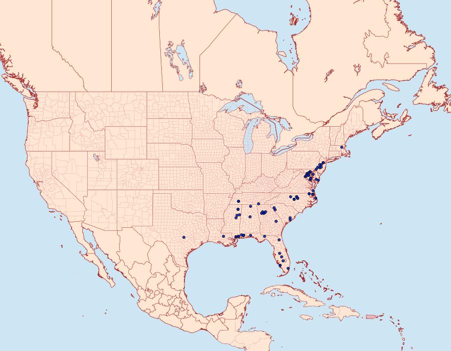 Distribution Data for Acrolophus panamae