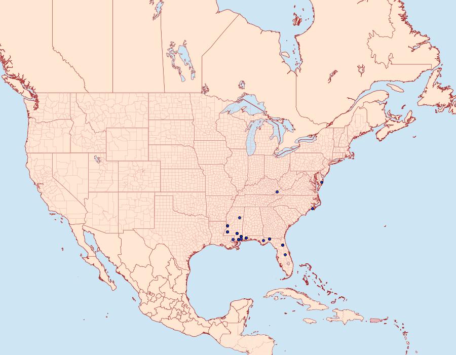 Distribution Data for Cenopis unicolorana