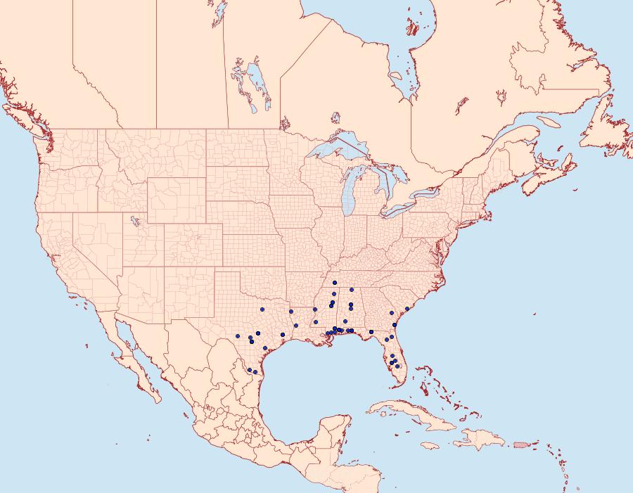 Distribution Data for Acrolophus piger
