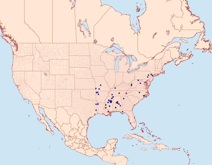Distribution Data for Cenopis saracana