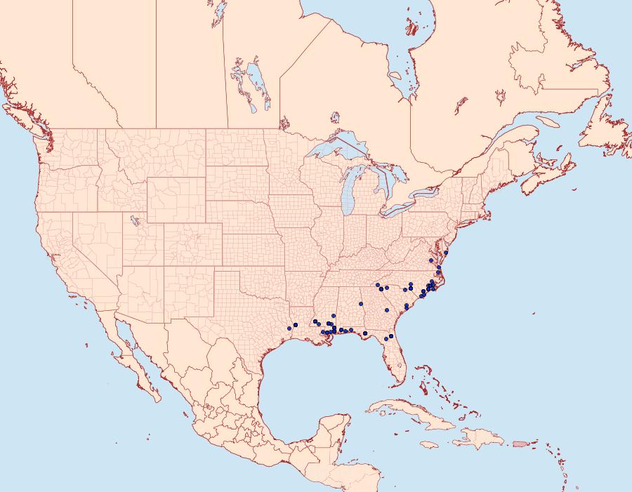 Distribution Data for Cenopis lamberti