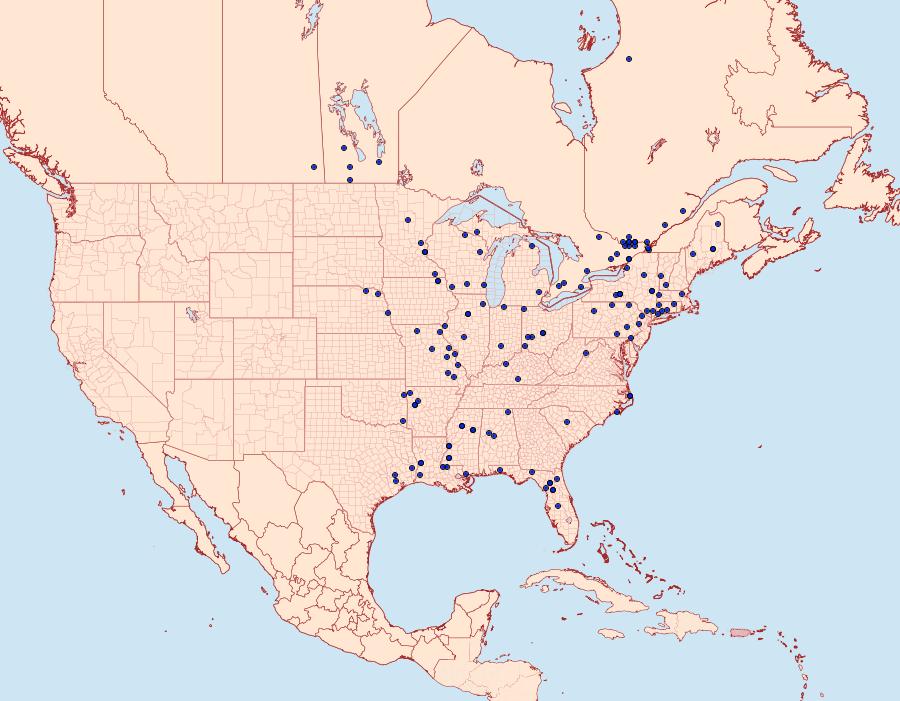 Distribution Data for Cenopis niveana