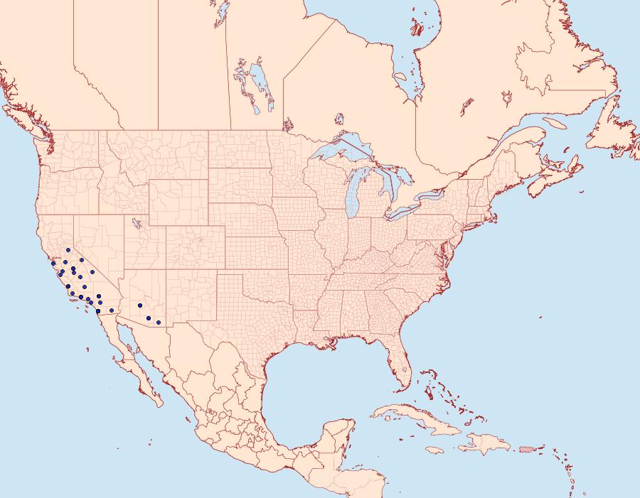 Distribution Data for Acrolophus pyramellus