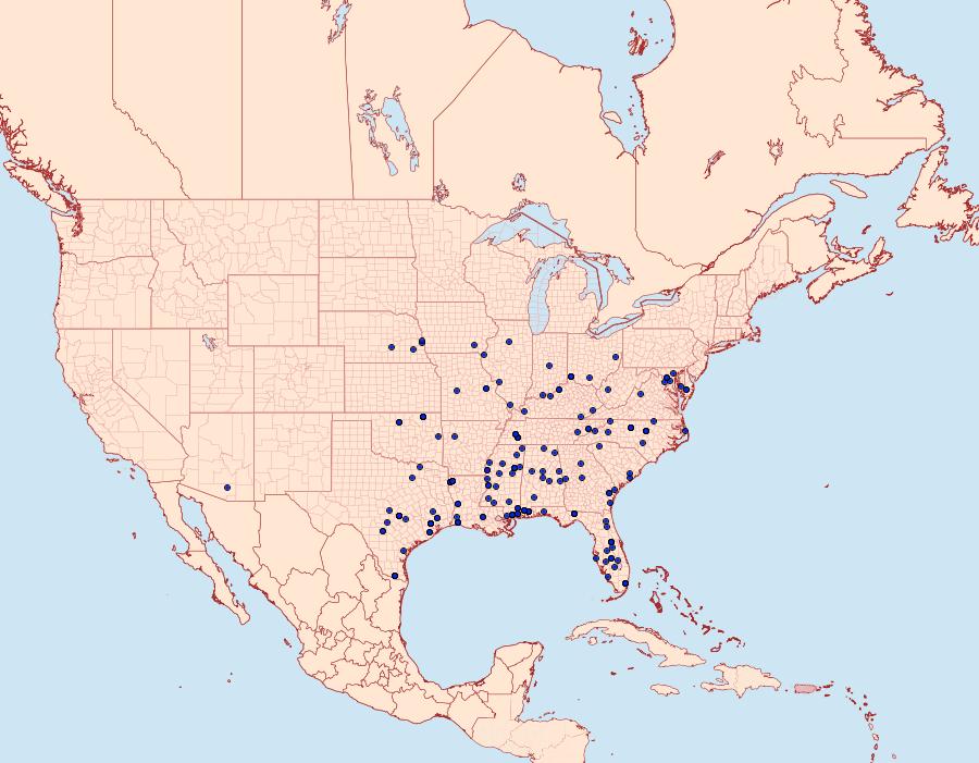 Distribution Data for Acrolophus texanella