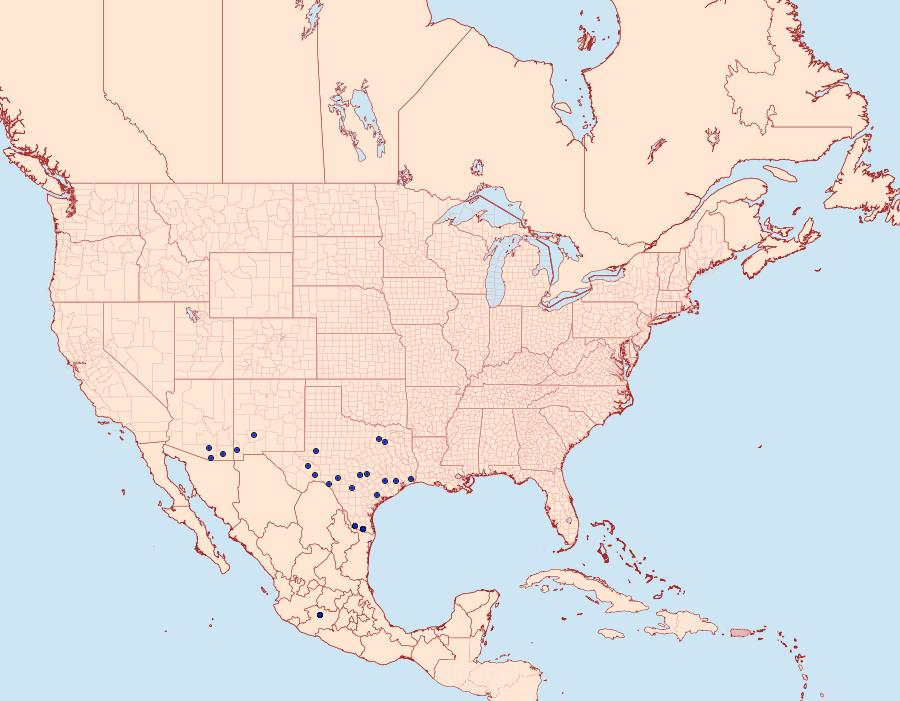 Distribution Data for Chioides zilpa