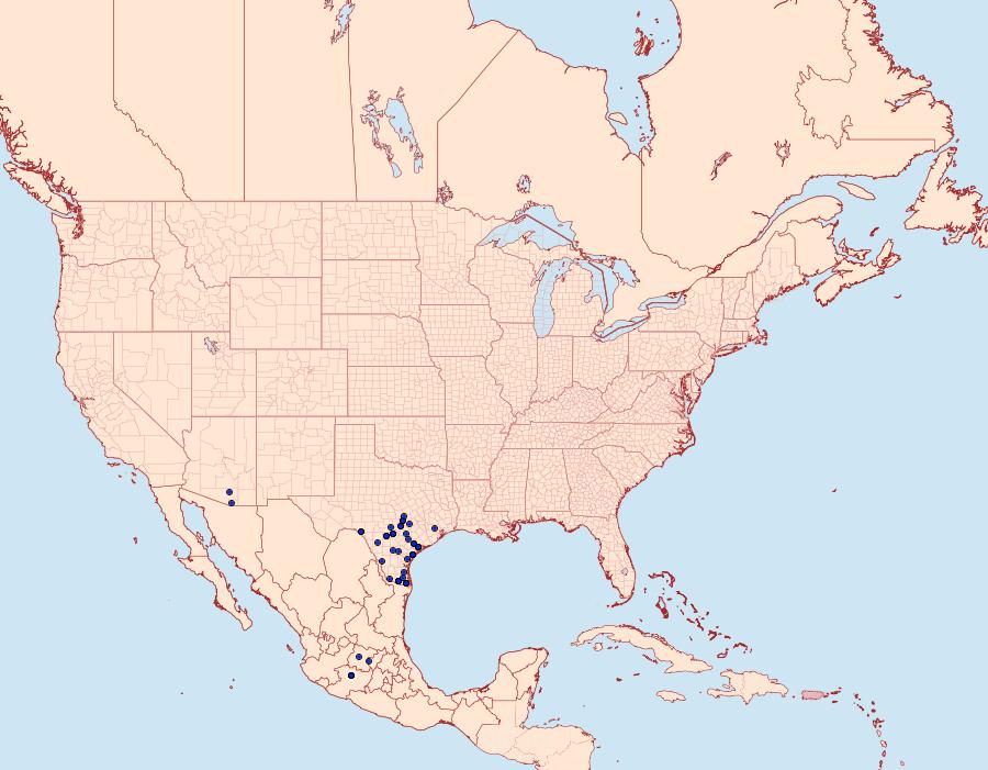 Distribution Data for Heliopetes laviana