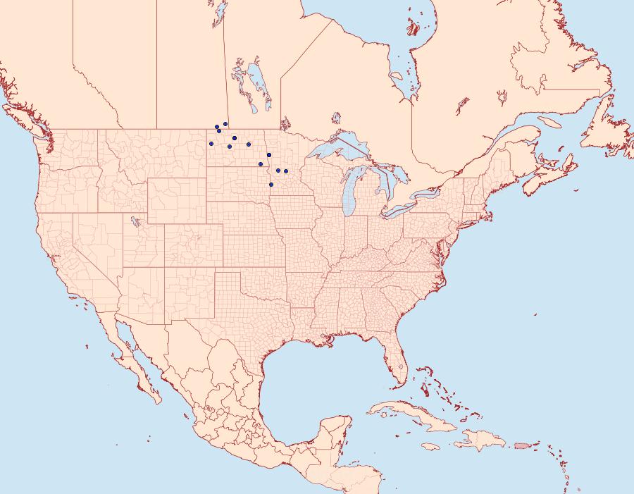 Distribution Data for Hesperia dacotae