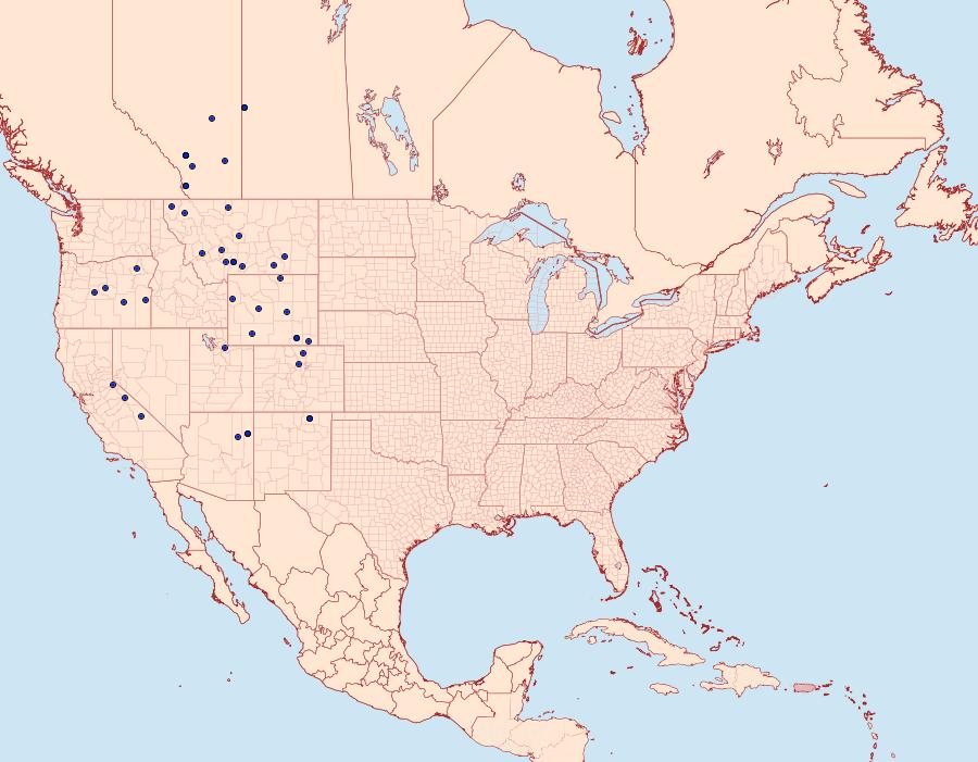 Distribution Data for Hesperia nevada