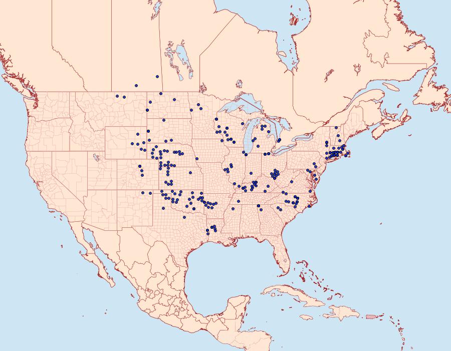 Distribution Data for Atrytonopsis hianna