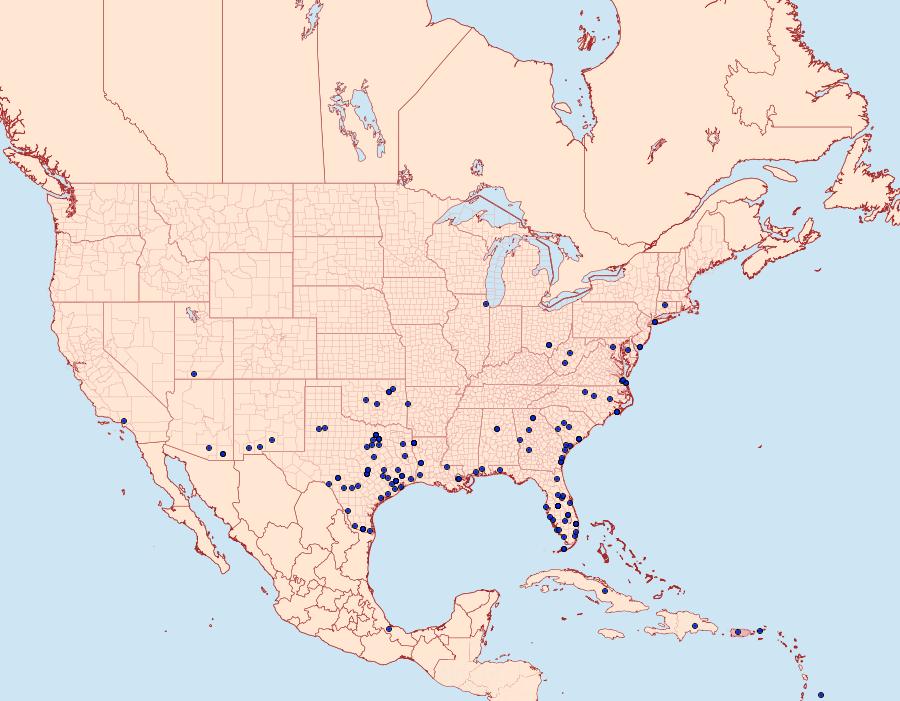 Distribution Data for Calpodes ethlius